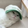 Profilbild von Hektei