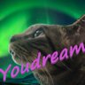 youdream's profile picture