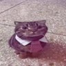 Profilbild von Zak