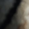 elhasaja profil fotoğrafı