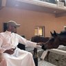 يوسف احمد الشاطري 的头像