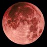 Asail's profile picture