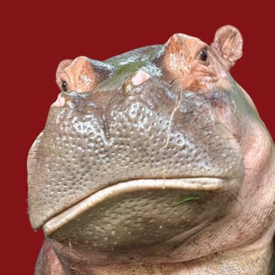 0327_mean's profile picture