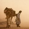 Фото профиля IBN HILAL