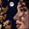 شموخ 🤍's profile picture