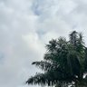 Odun_ 的头像