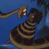 David Marius's profile picture