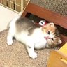 Фото профиля まり