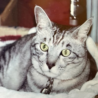 8don_814's profile picture