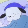 あやめ's profile picture