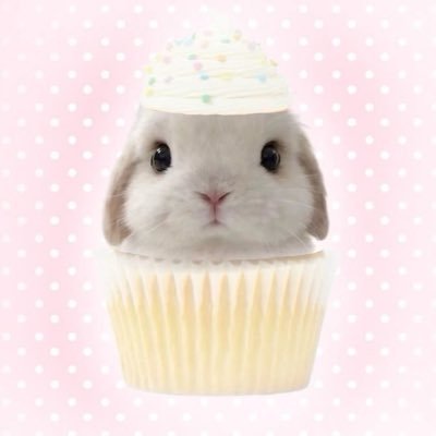 𝐛𝐚𝐦𝐛𝐢's profile picture