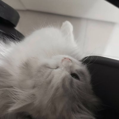 yetiniel's profile picture