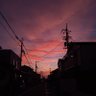 Фото профиля Nagi