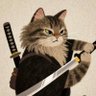Profilbild von 青木 遥