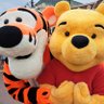 ディズニー大好き夫婦🧸しょうた profil fotoğrafı