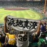 常夏の国 的头像