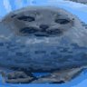JSkyX's profile picture