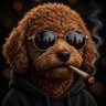 Max's profile picture