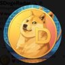 Profilbild von @DogeTheMoon