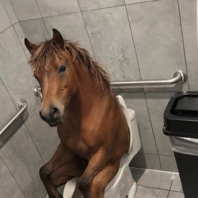 öylesine canım's profile picture