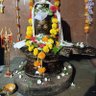 Manish Shukla (Maharishi Sankritya)'s profile picture