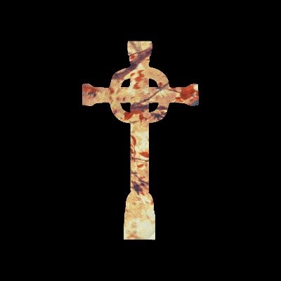 Steven Wilson's profile picture