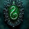 shadow slytherin's profile picture