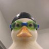 Profilbild von nugget