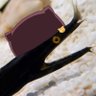 うえひろ profil fotoğrafı