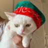 Фото профиля carbonbuns