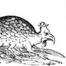 Kyle Sorensen's profile picture