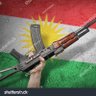 kurdish vine 的头像