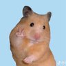 isoooon’'s profile picture