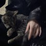 Profilbild von مشغوله شوي