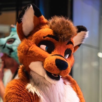xavoto_fox's profile picture