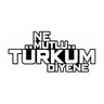 Mert Serinkaya profil fotoğrafı