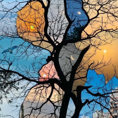 Kinza_shah1020's profile picture