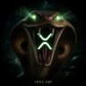 Apex XRP's profile picture