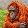 UTAN's profile picture