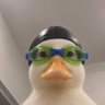 Cam's profile picture