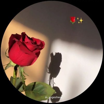 m.s creamy 🤭's profile picture