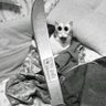 gus;💢's profile picture