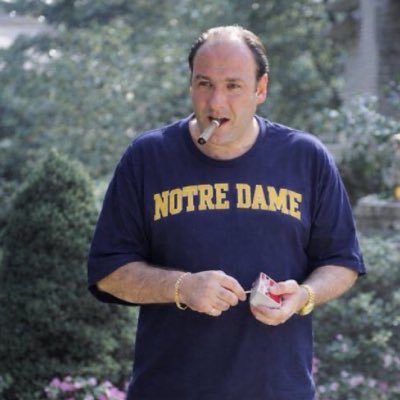 nolan's profile picture