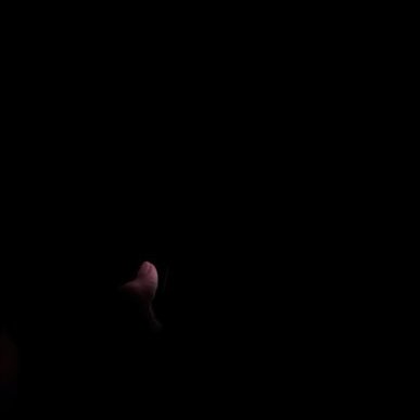 Anna Dark's profile picture