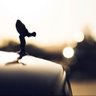 Crack Rock profil fotoğrafı