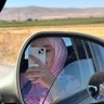 Profilbild von sᴀʀᴇ ✨