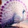 Фото профиля تيسير