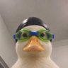 Movez's profile picture