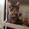 Фото профиля علامه؟