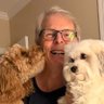Jeff McCarthy's profile picture